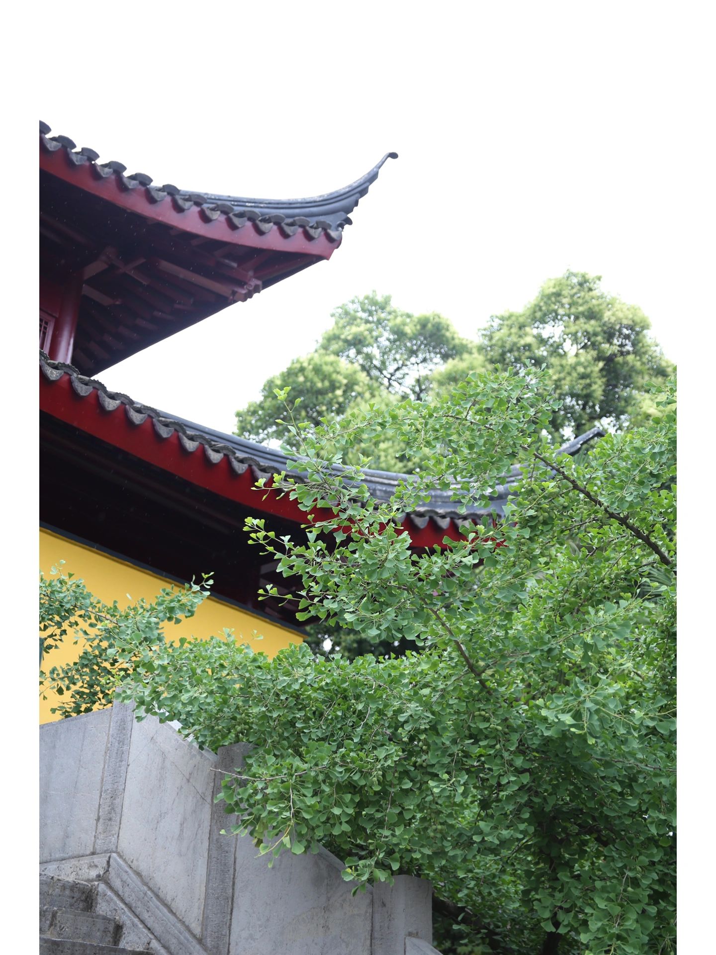 鸡鸣寺亲子游攻略