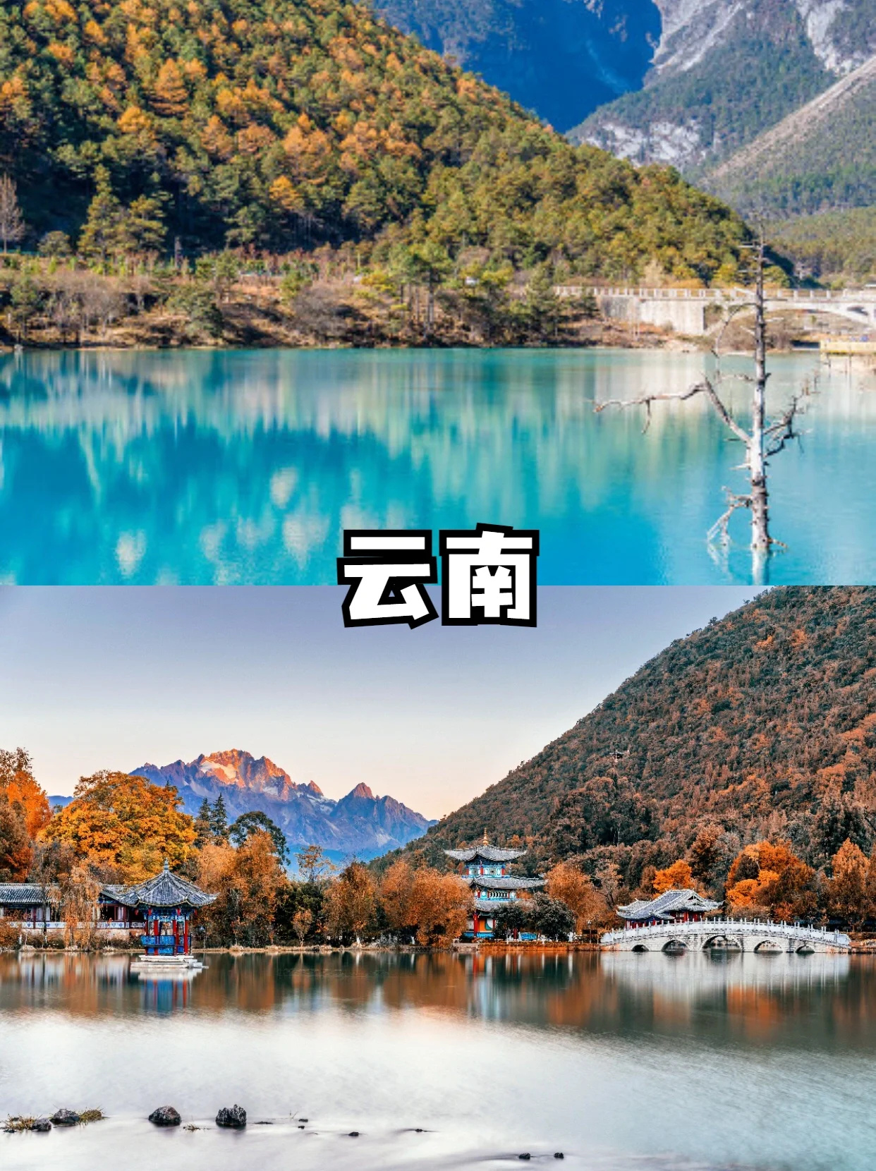 带娃避暑❤️暑假适合亲子游的9个游玩圣地