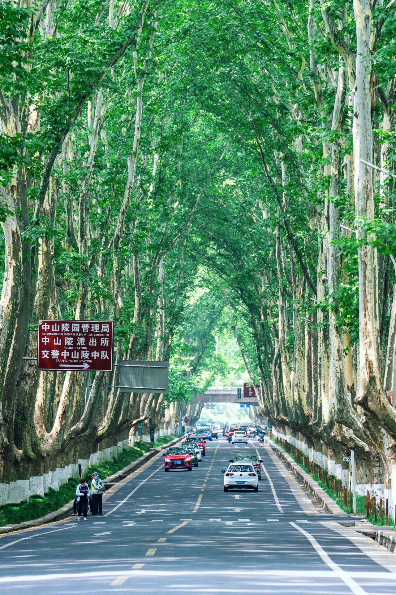 刚才南京回来！后劲太大！