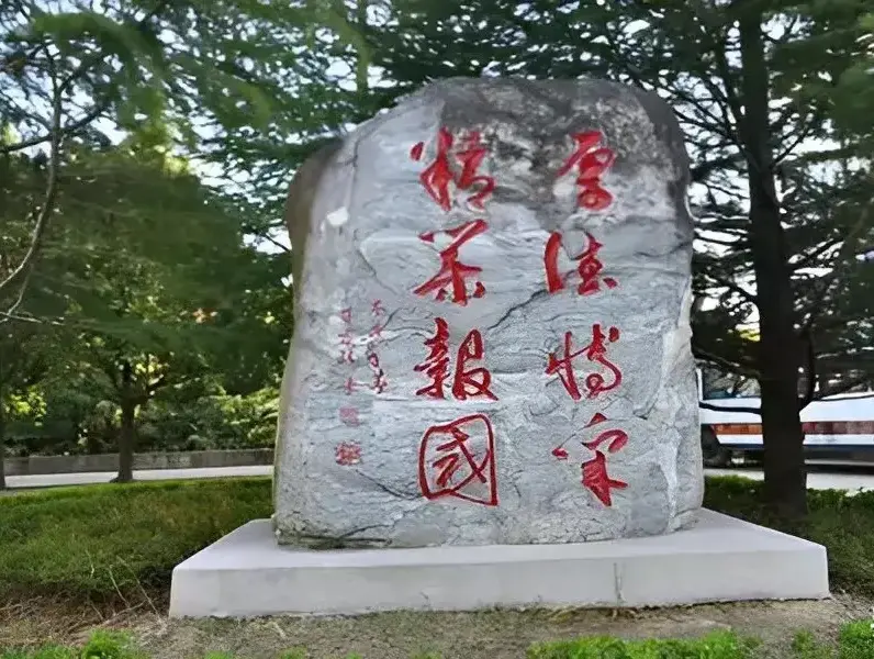 堂堂大学生，8个字竟然连一半也认不出来