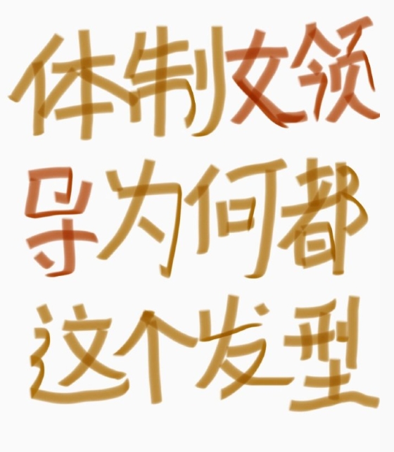 体制内女领导为啥都是这个发型呀 ​​​