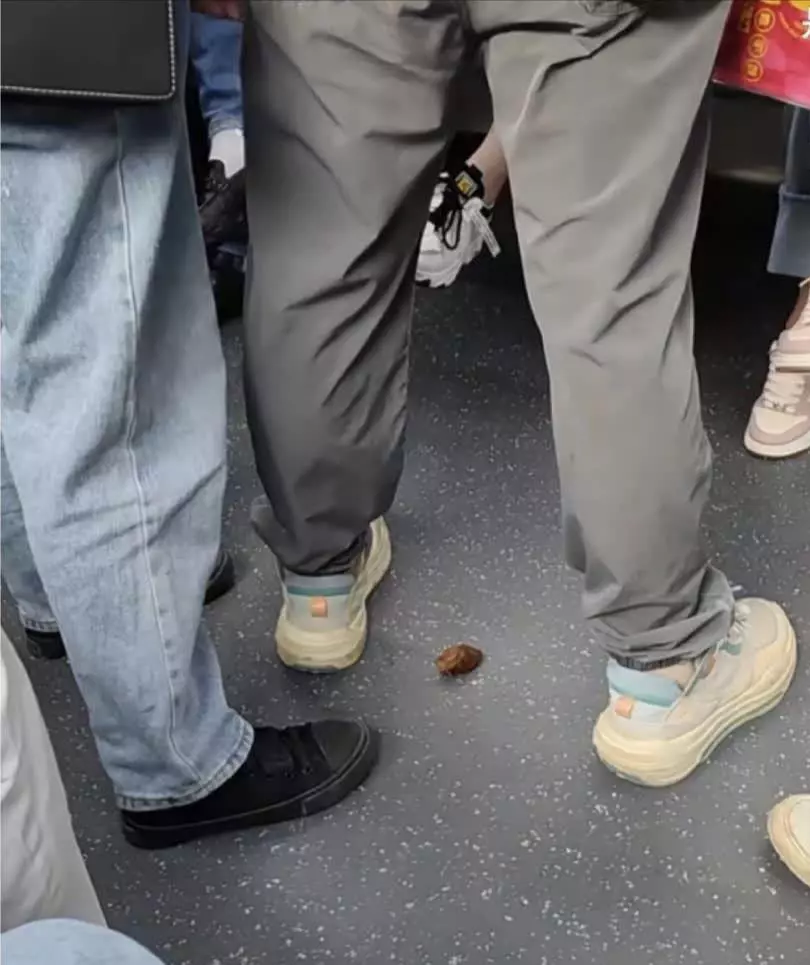 早高峰的地铁有多挤，这照片就能看出来！