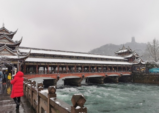 今年的雪下的猛，大家欣喜若狂，到处是赏雪摆拍的人，瑞雪兆丰年，话说地盖三层被，来