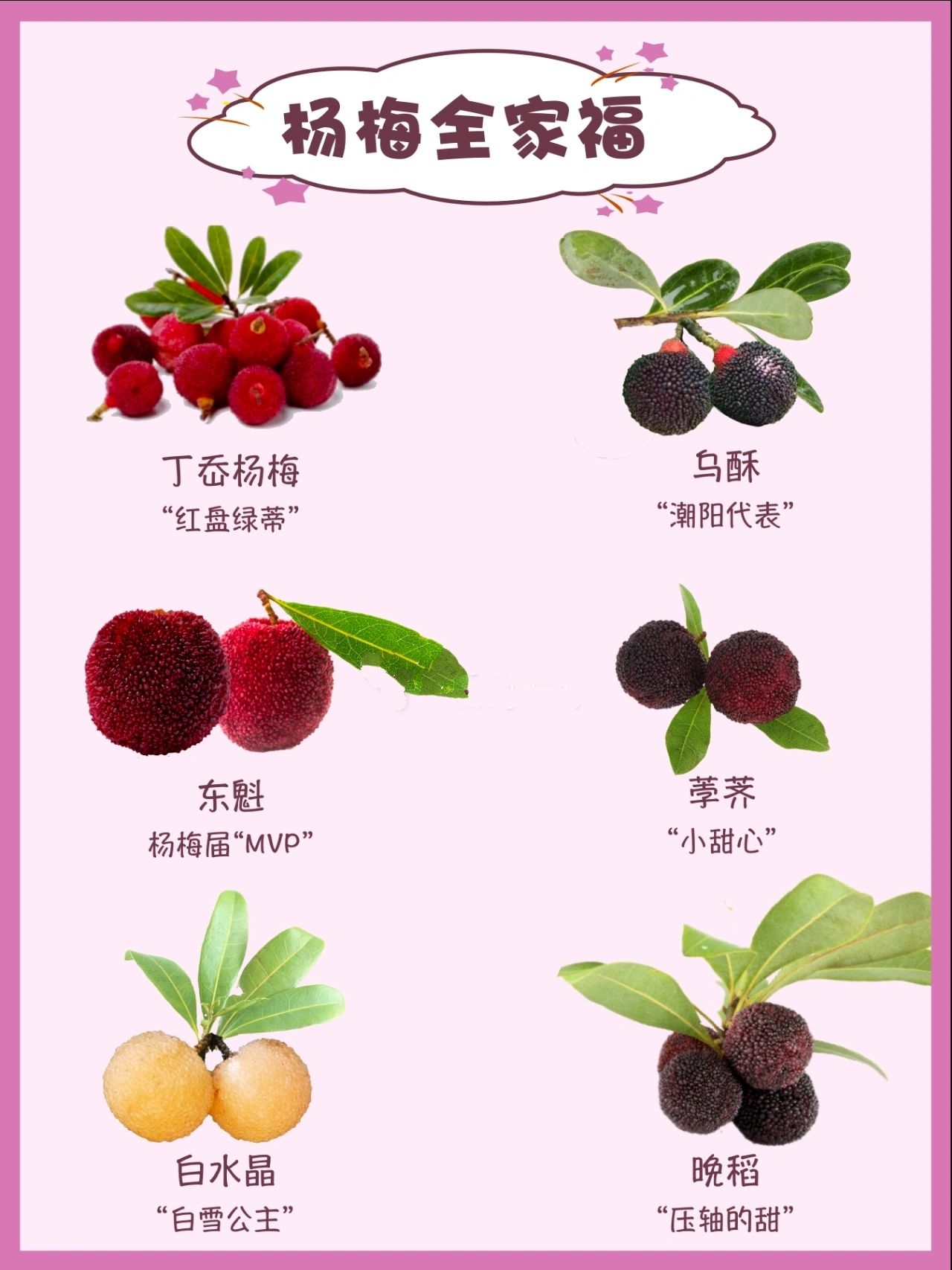 好吃的杨梅品种#杨梅季节#