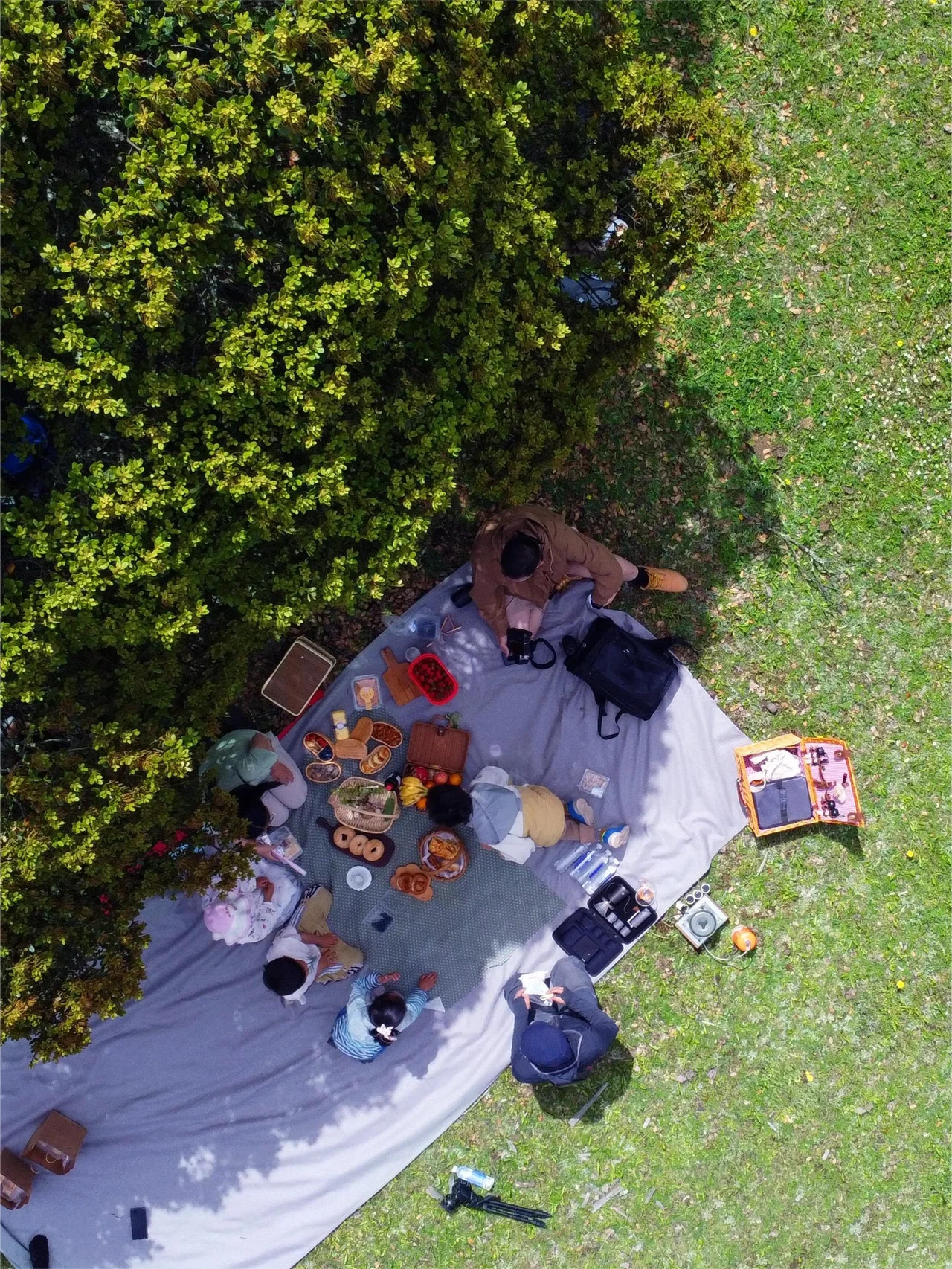 丽江暑期亲子游攻略