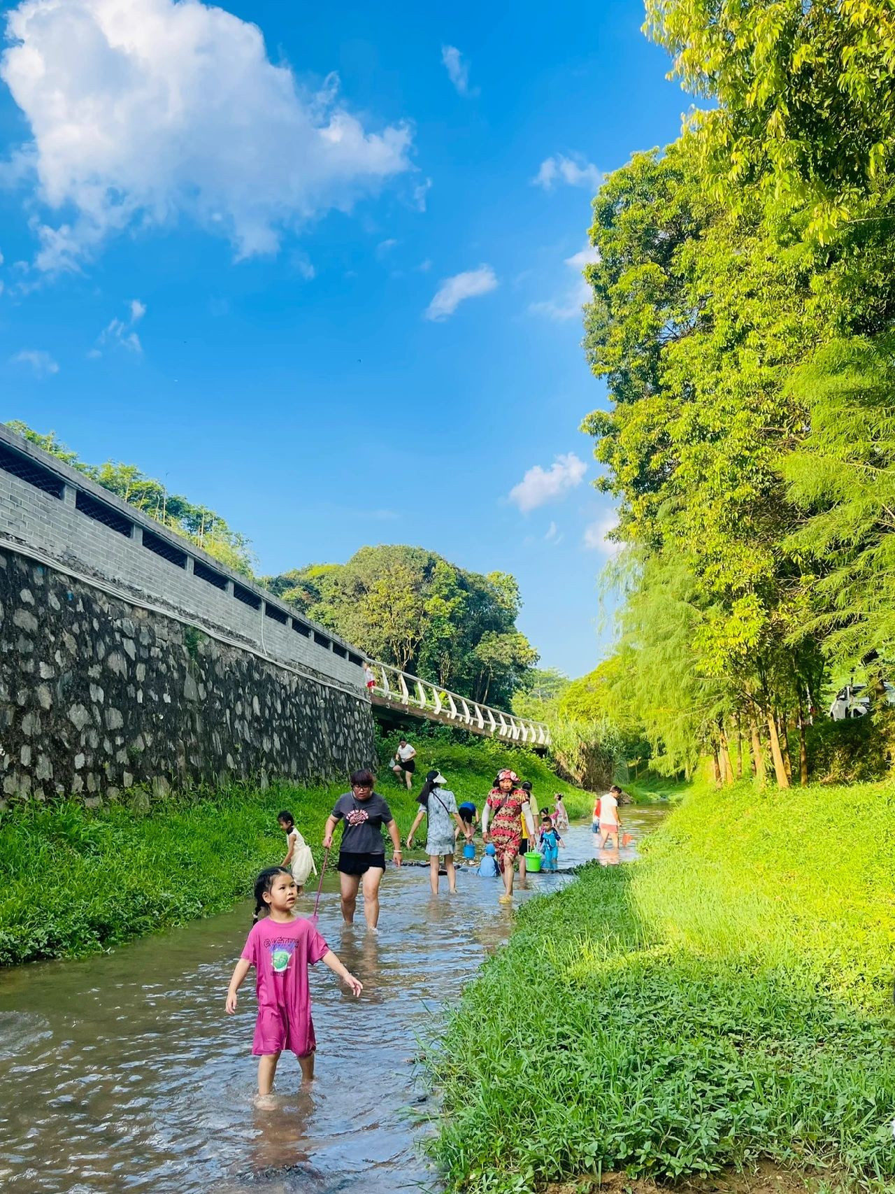 周末去哪儿｜帽峰山下小溪玩水露营好地方呀