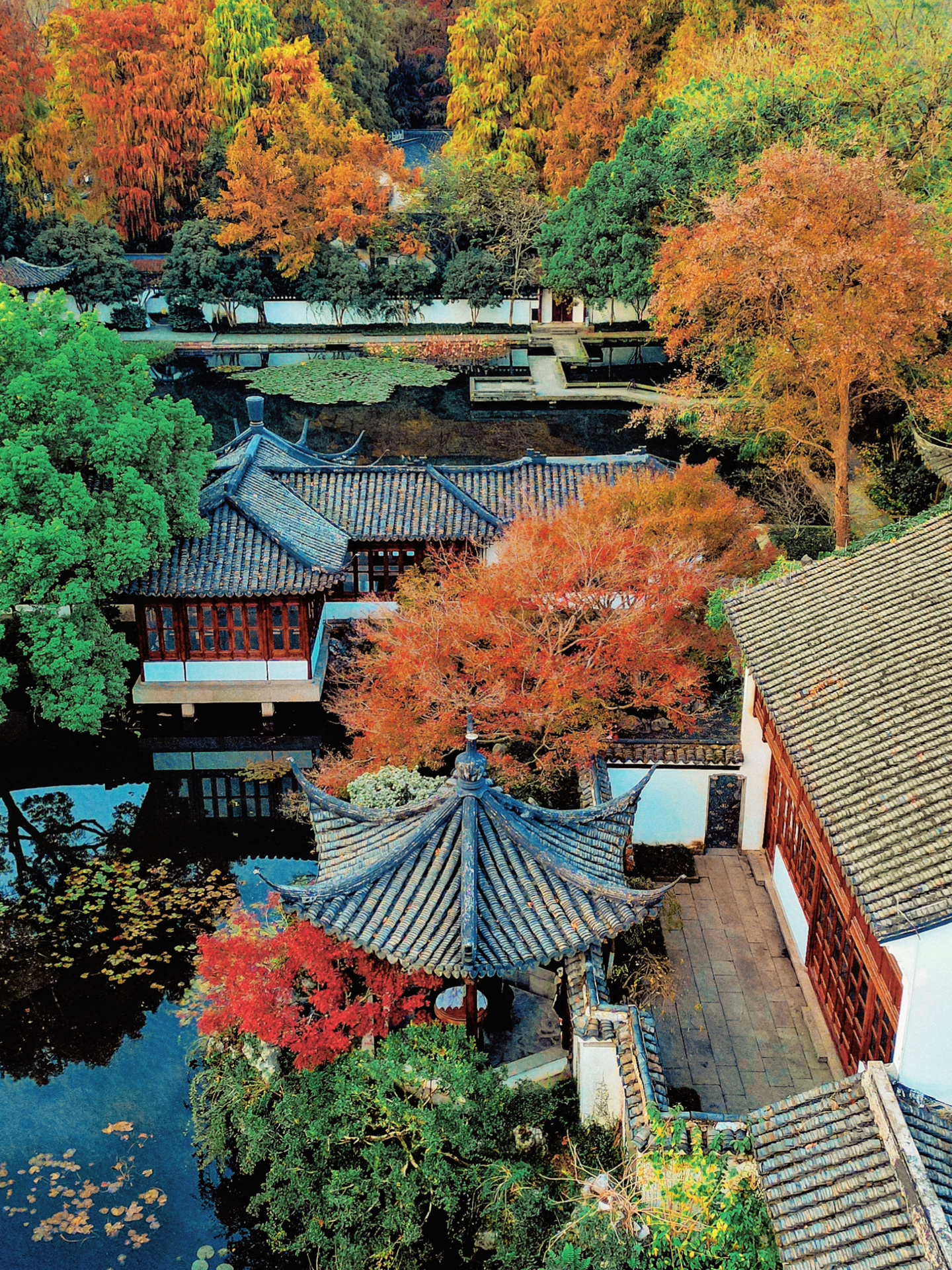 杭州赏秋除了北山街，一定要来这里走走