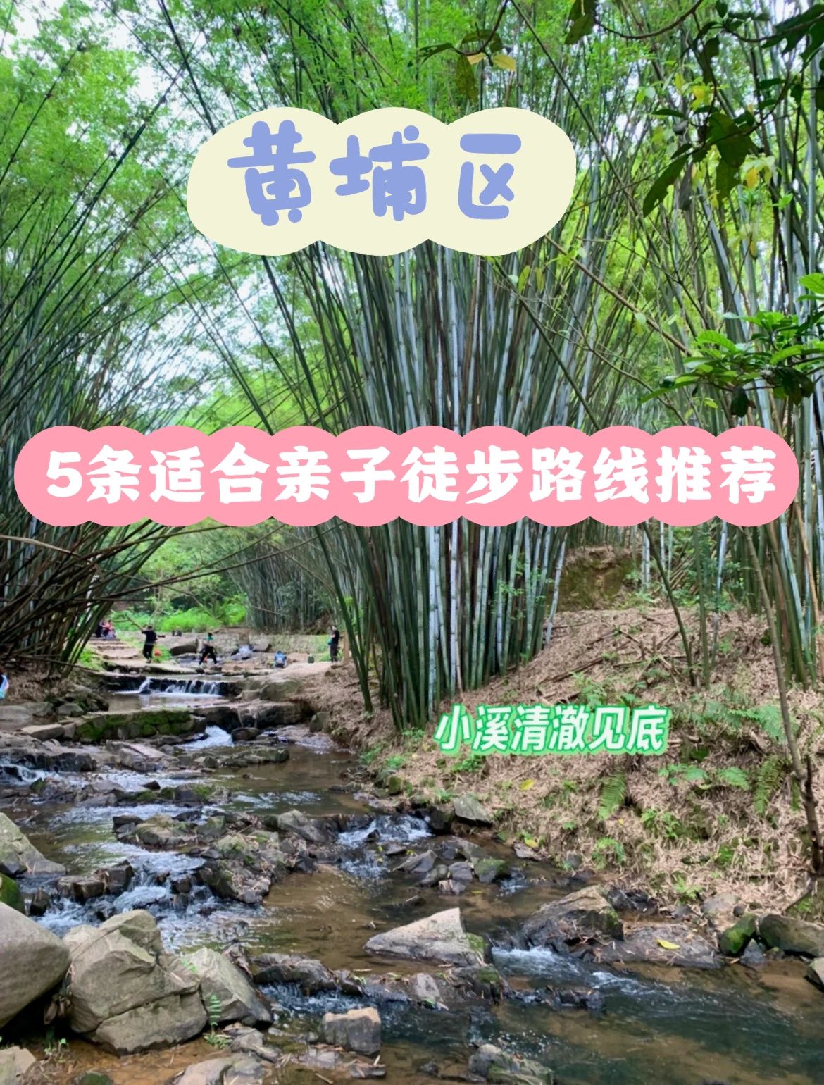 广州黄埔区适合亲子徒步推荐｜超美🔥