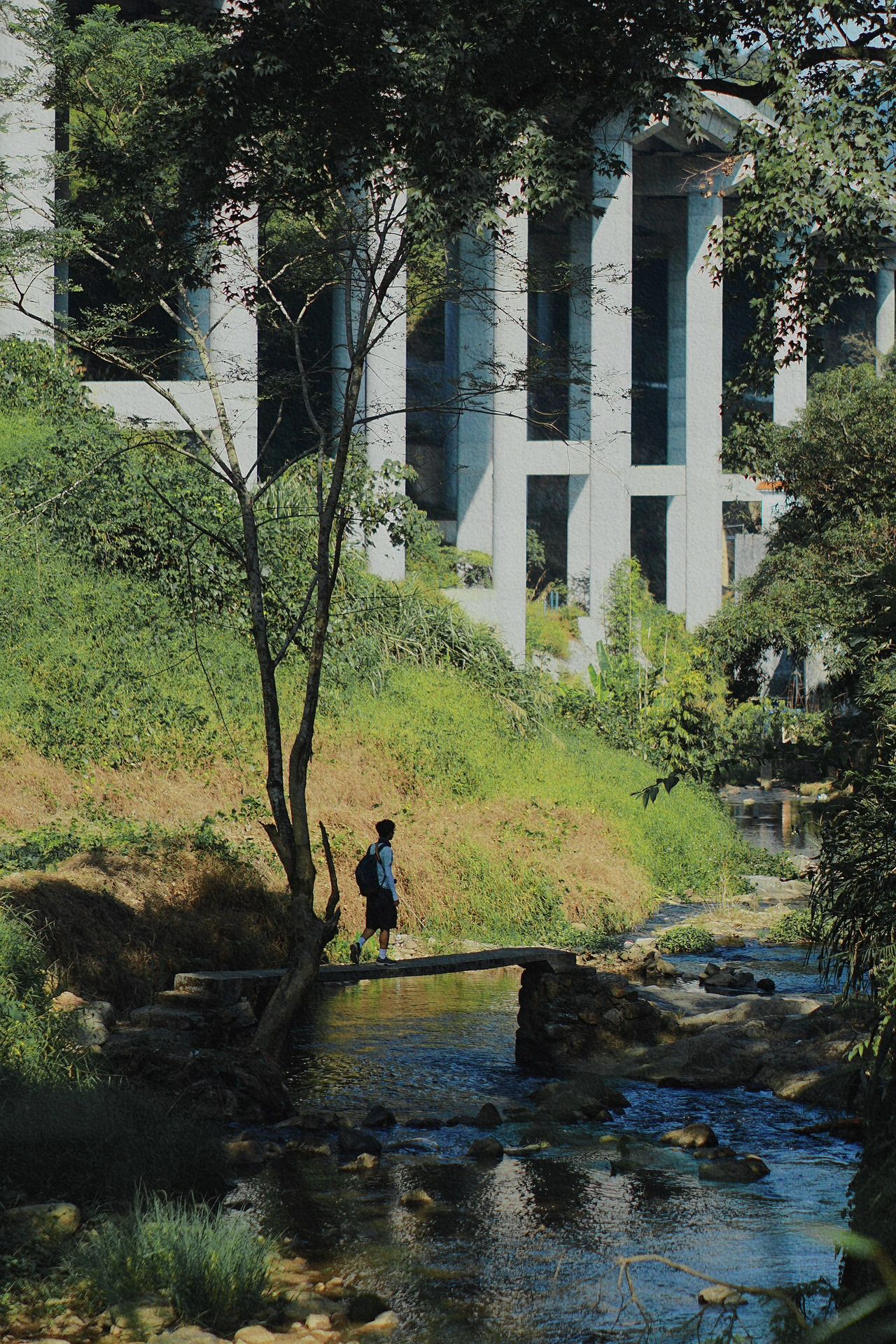 广州徒步｜穿越竹林和溪流感受绿野仙踪的秋