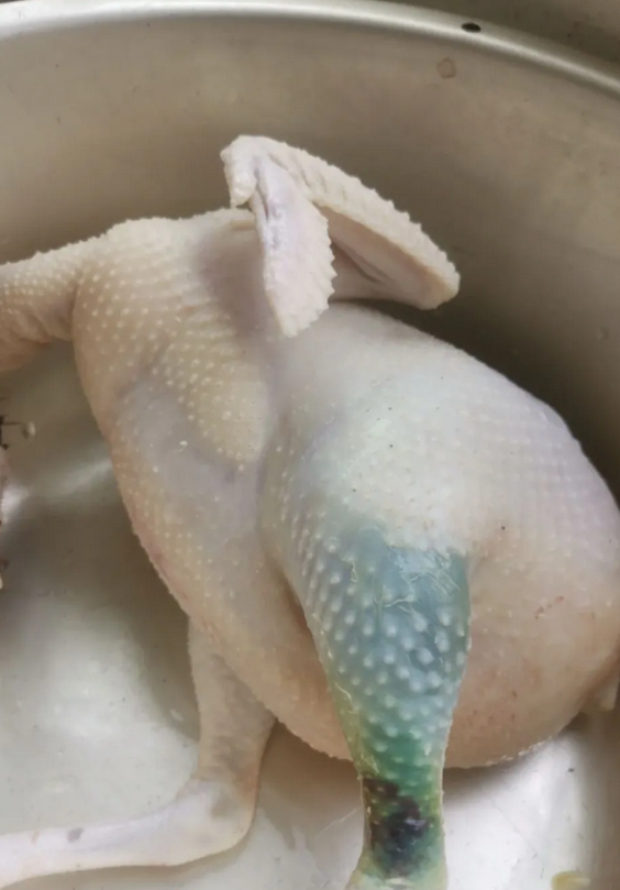 为什么这只鸡的腿是绿色？它经历了什么？这还能吃吗？[凝视][凝视][凝视]