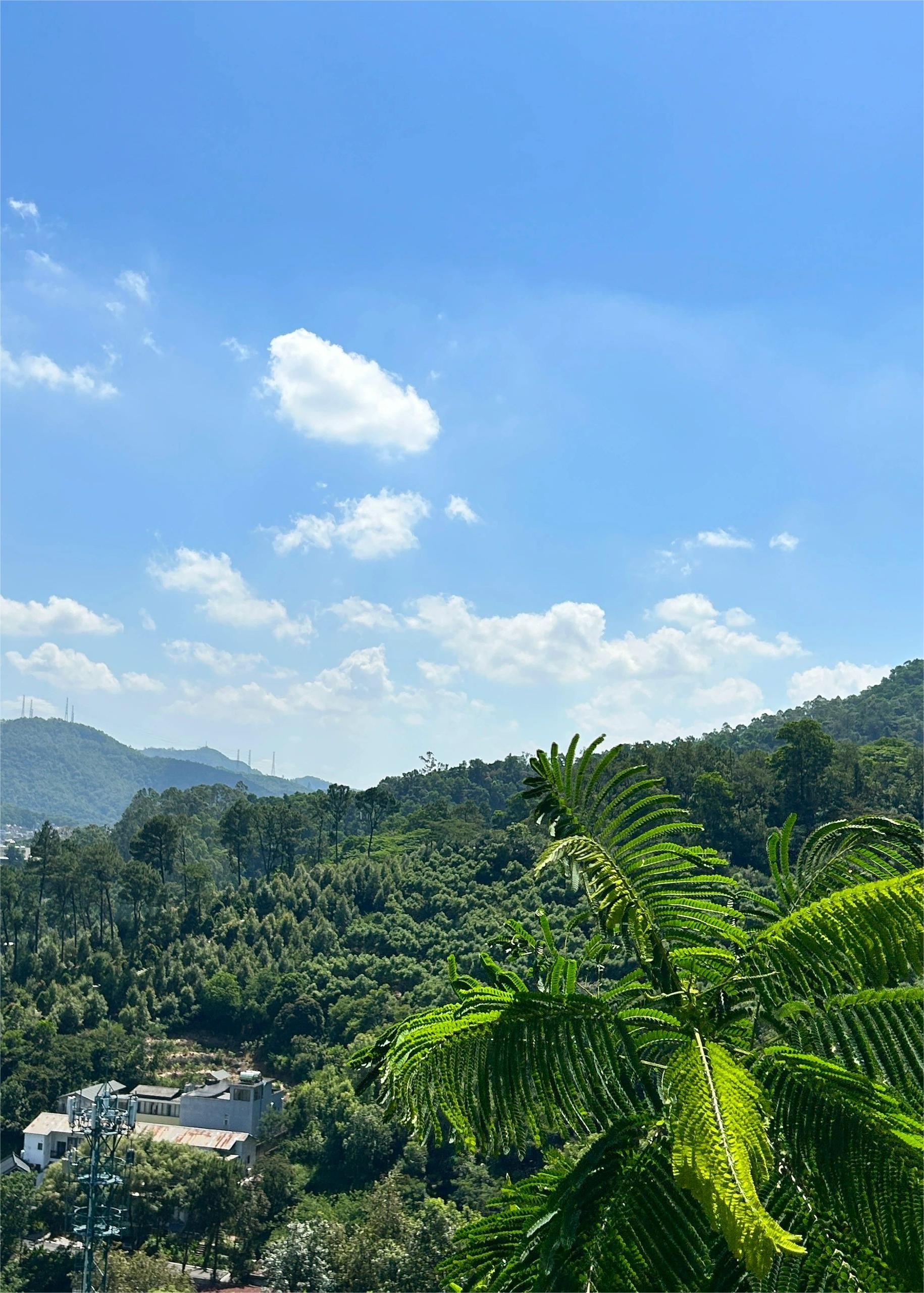 广州徒步：山行野径，穿越火凤线