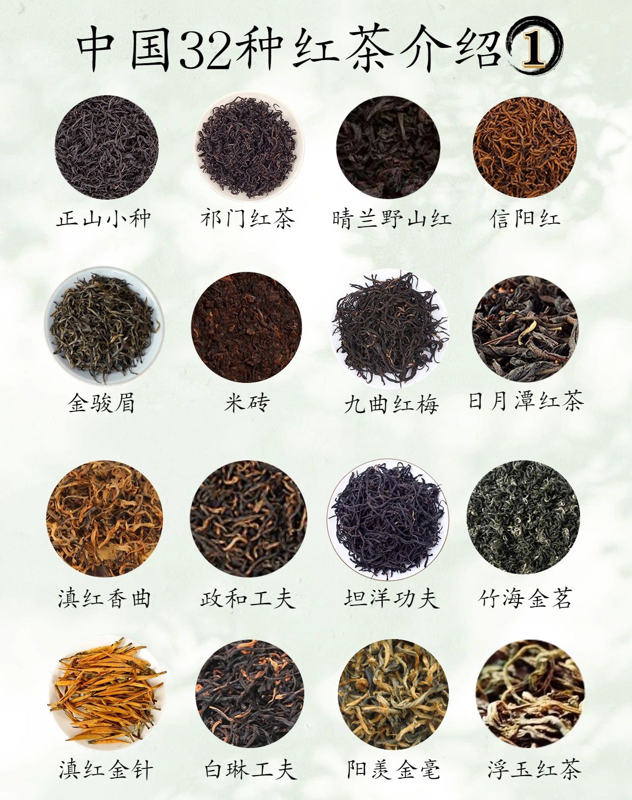 红茶32种#红茶有哪些品种#