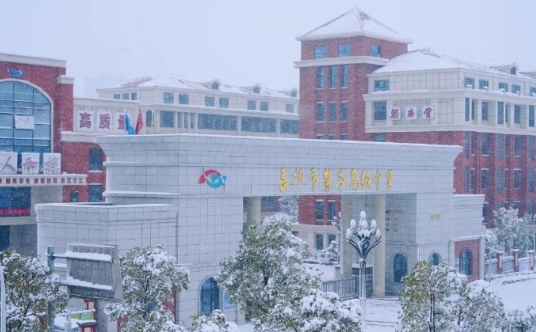 大雪·麓高
洁白如絮 轻盈如蝶
长沙之雪 如约降临
仿佛树梢开遍银花
好似大地浮