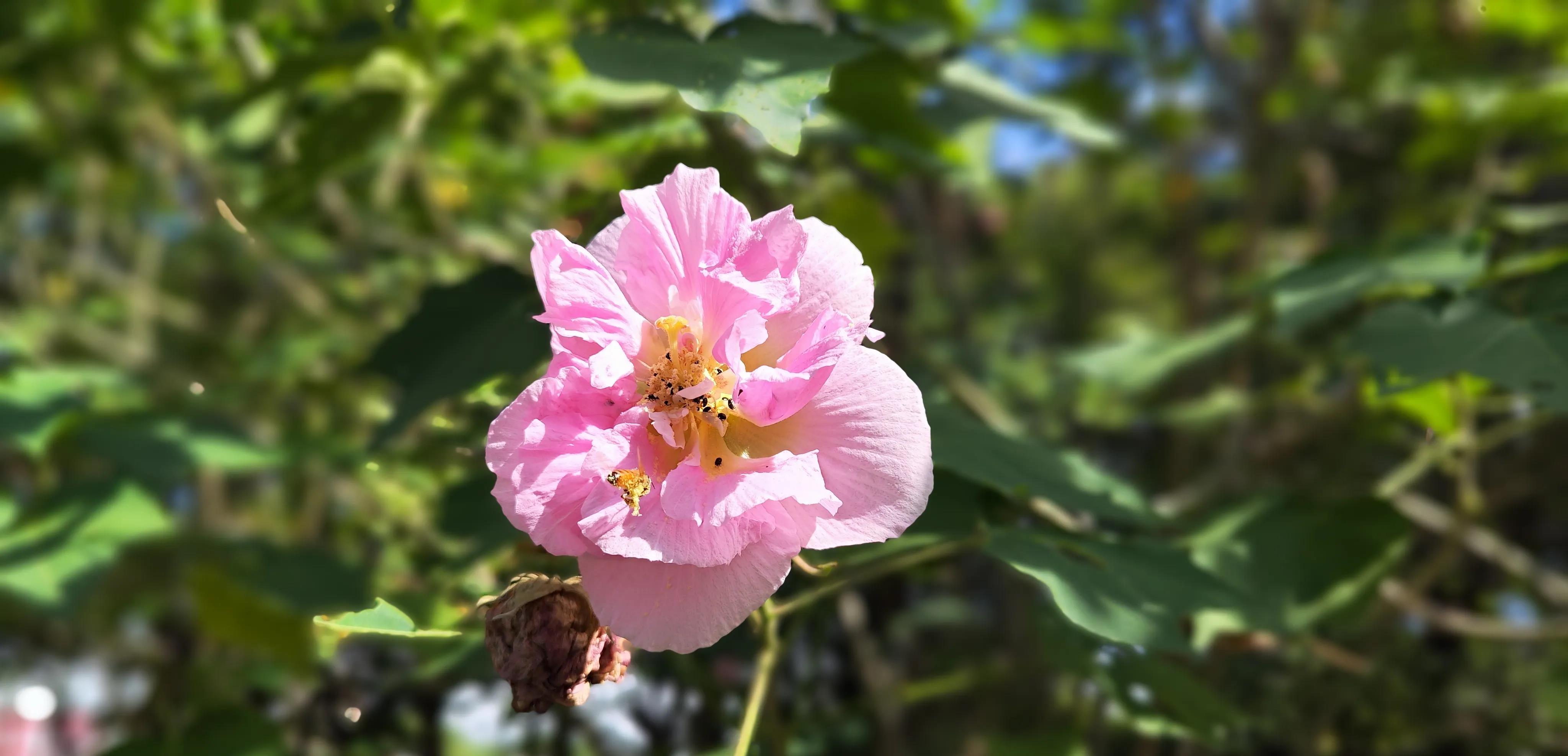 甲问乙：你真的反美？
乙：我确定
甲又问：和美国水火不容？你确认？
乙：我确认
