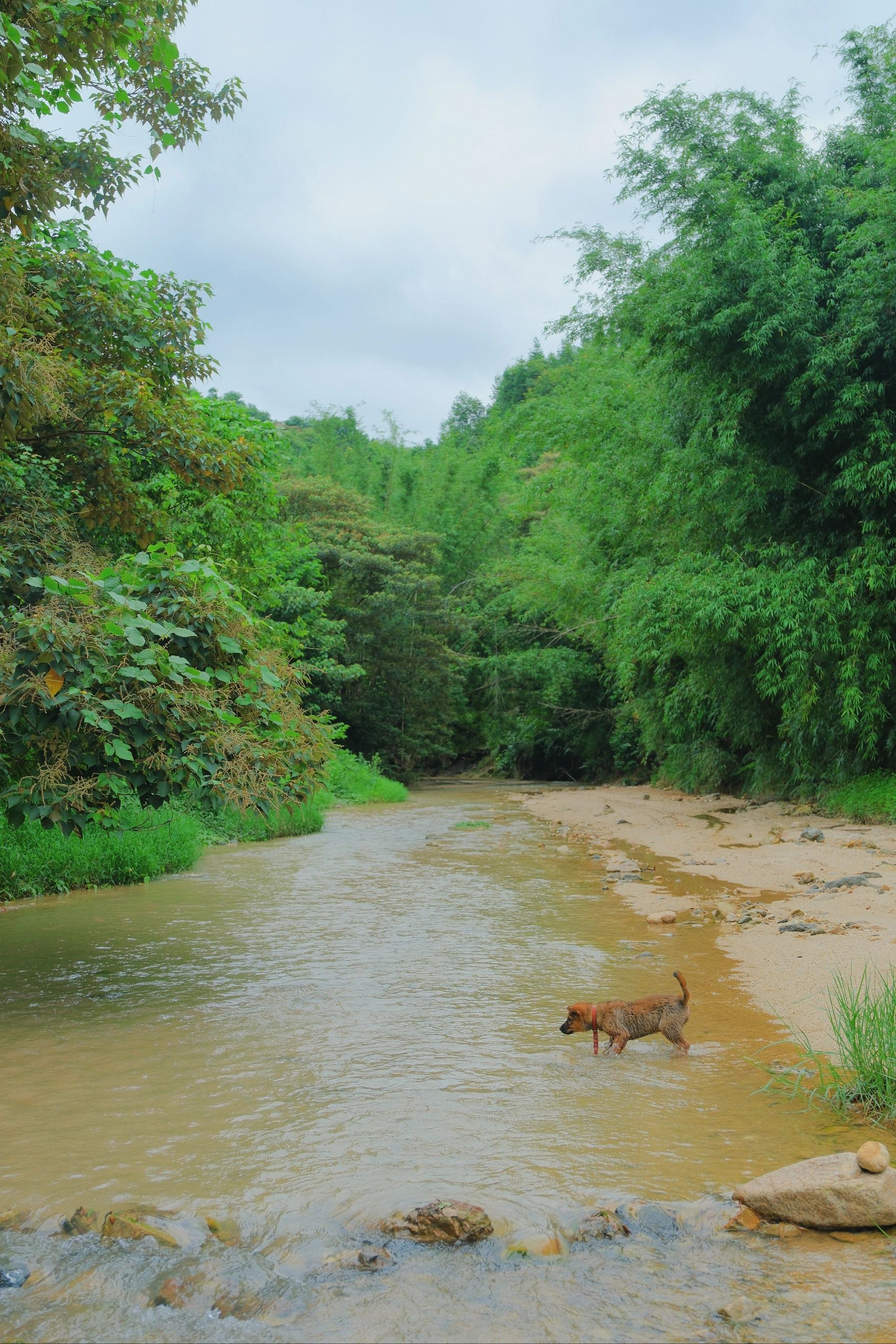 广州周边1h，发现这个露营玩水宝地！