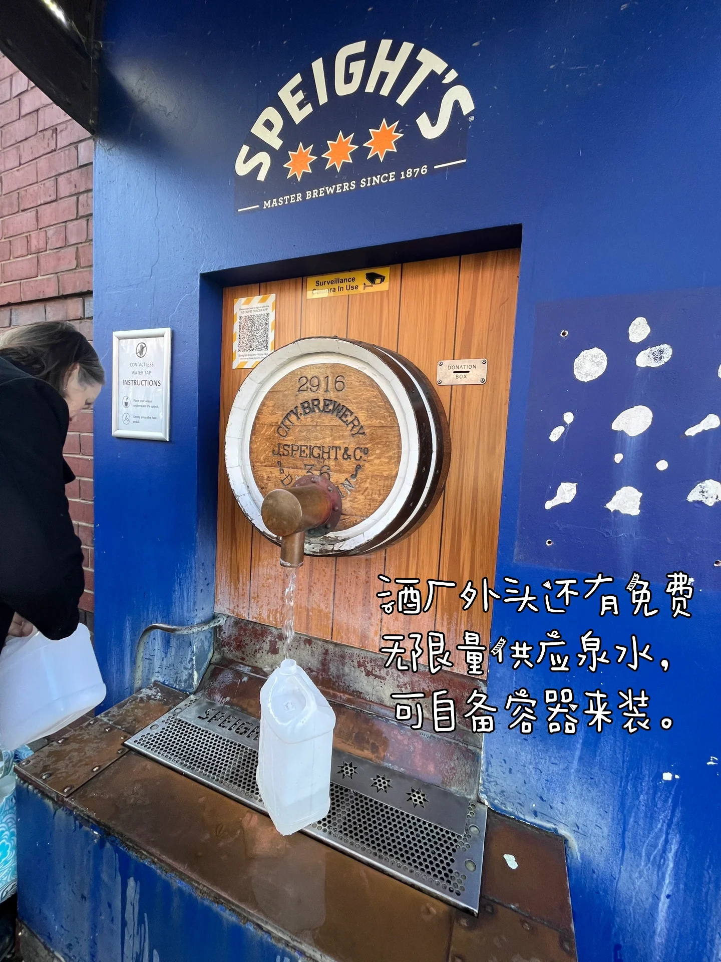 新西兰最古老城市｜但尼丁二日游攻略