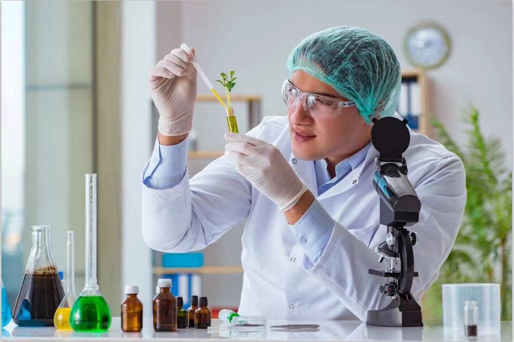 茶褐素的消化吸收与代谢