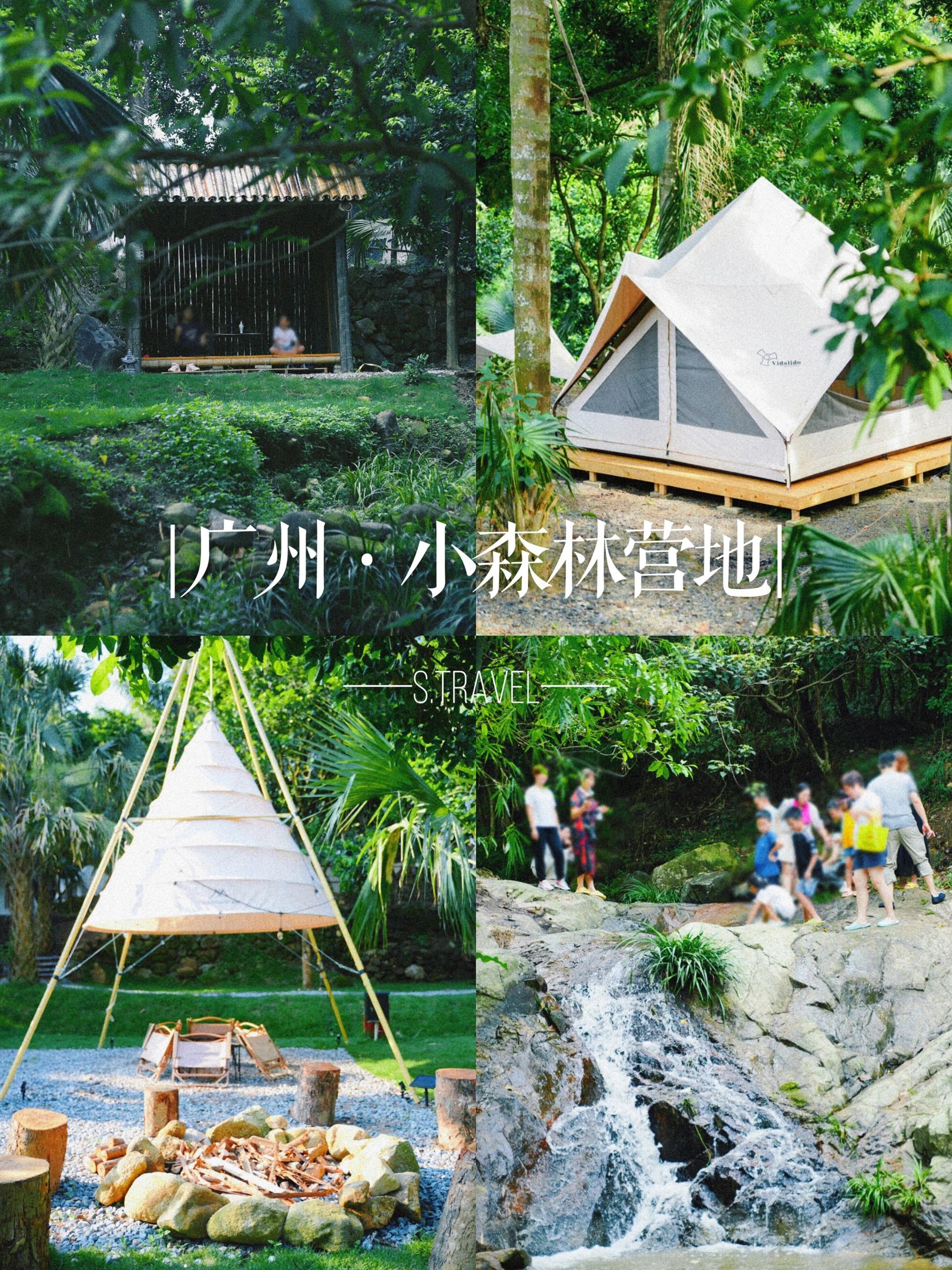 向森林出发🌲 | 探索增城秘境小森林