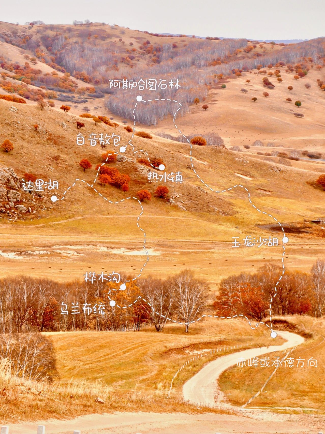 赏秋胜地乌兰布统，人少景美不堵车