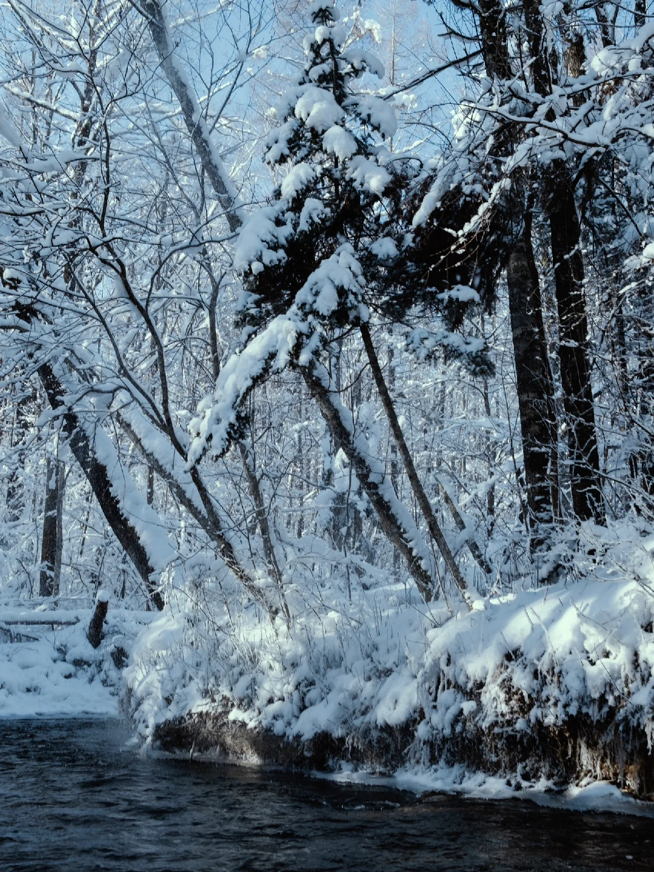 攻略｜南方人四天三夜沉浸式追雪❄️路线