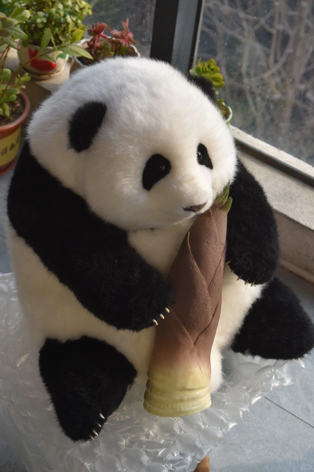 熊猫工厂6月花花
可爱的花花，还有一个5月