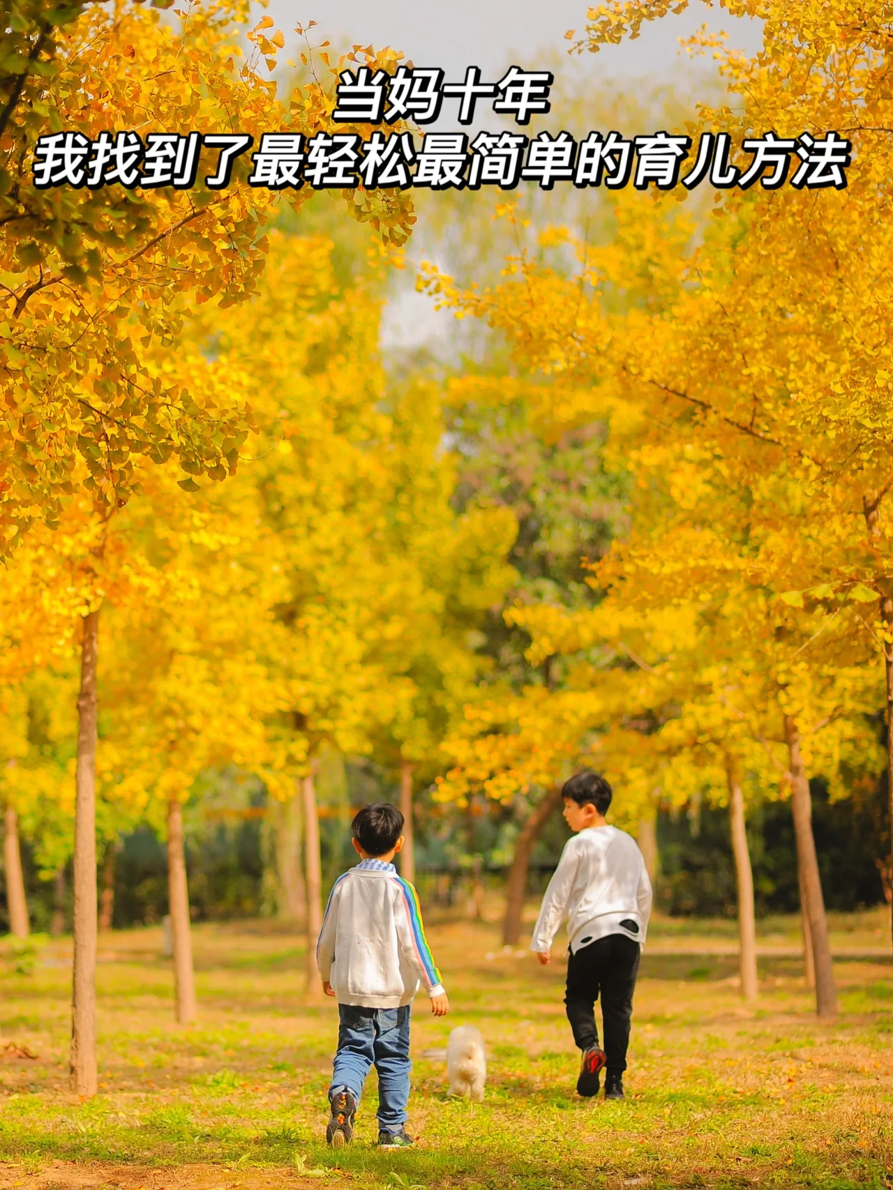 当妈十年，我终于懂得的那些育儿道理