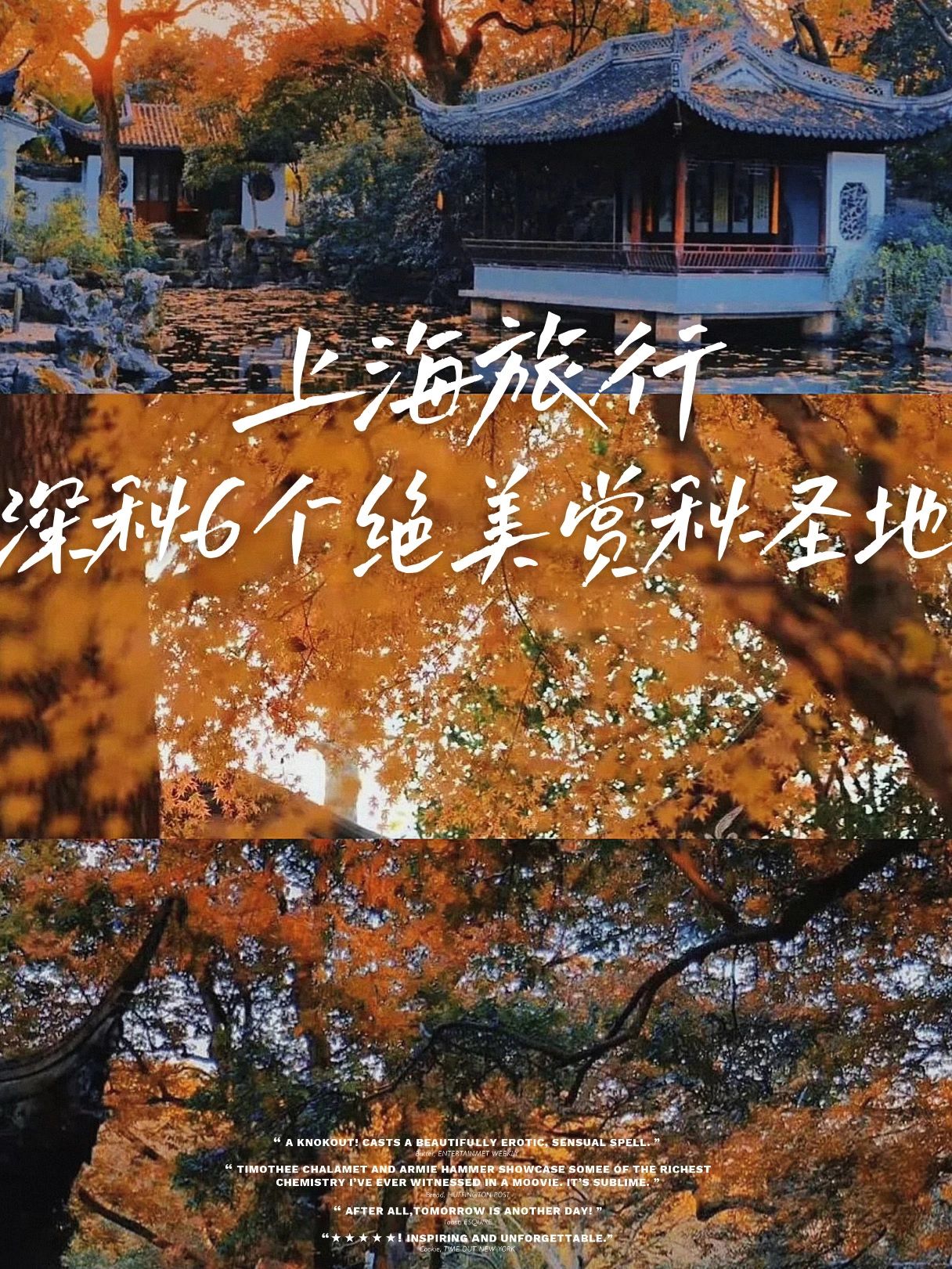 秋天上海最值得去的6个赏秋地