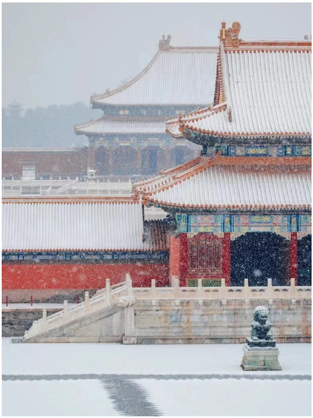 故宫变成紫禁城了，春节一起去故宫看雪吧