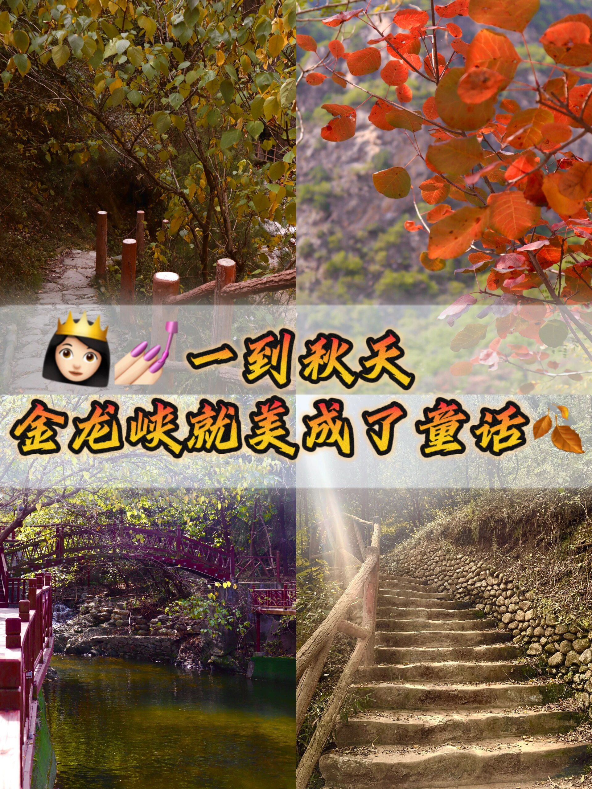 📢我宣布这就是我梦中的赏秋天花板‼️