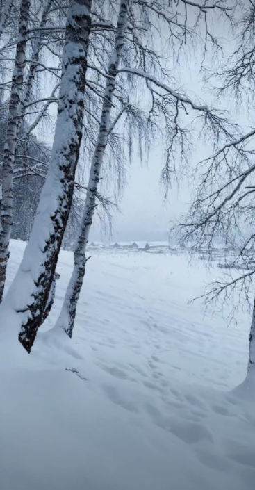 欢迎大家来欣赏中国雪乡的雪景
人间仙境，画中游
和心上人一起赏雪，
那该有多么幸