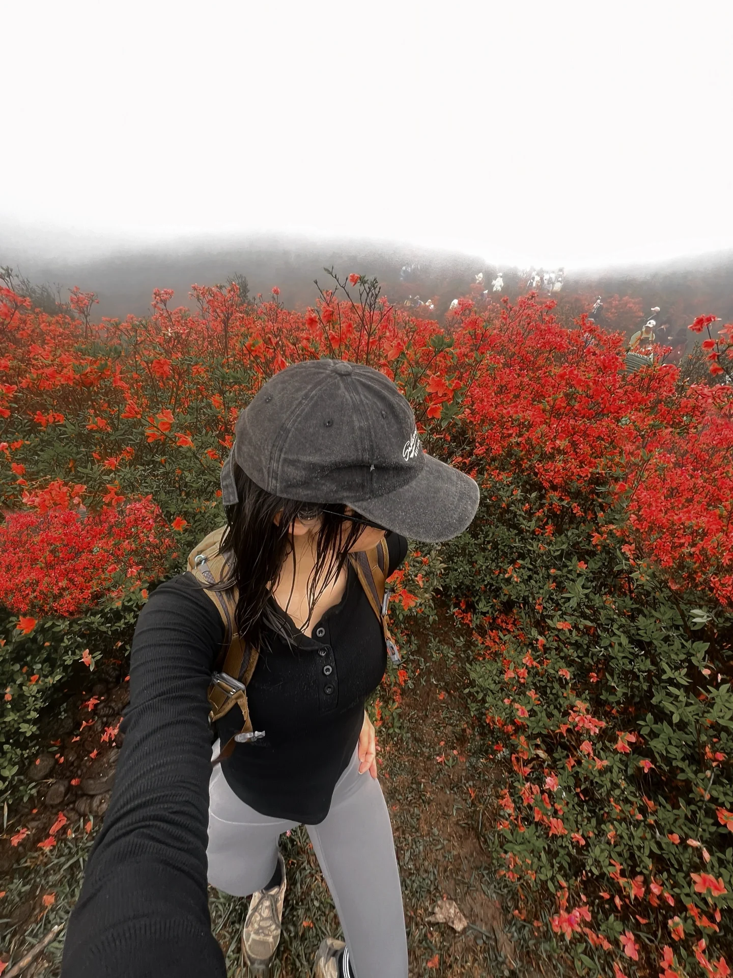 雾里看花 风雨赶山
