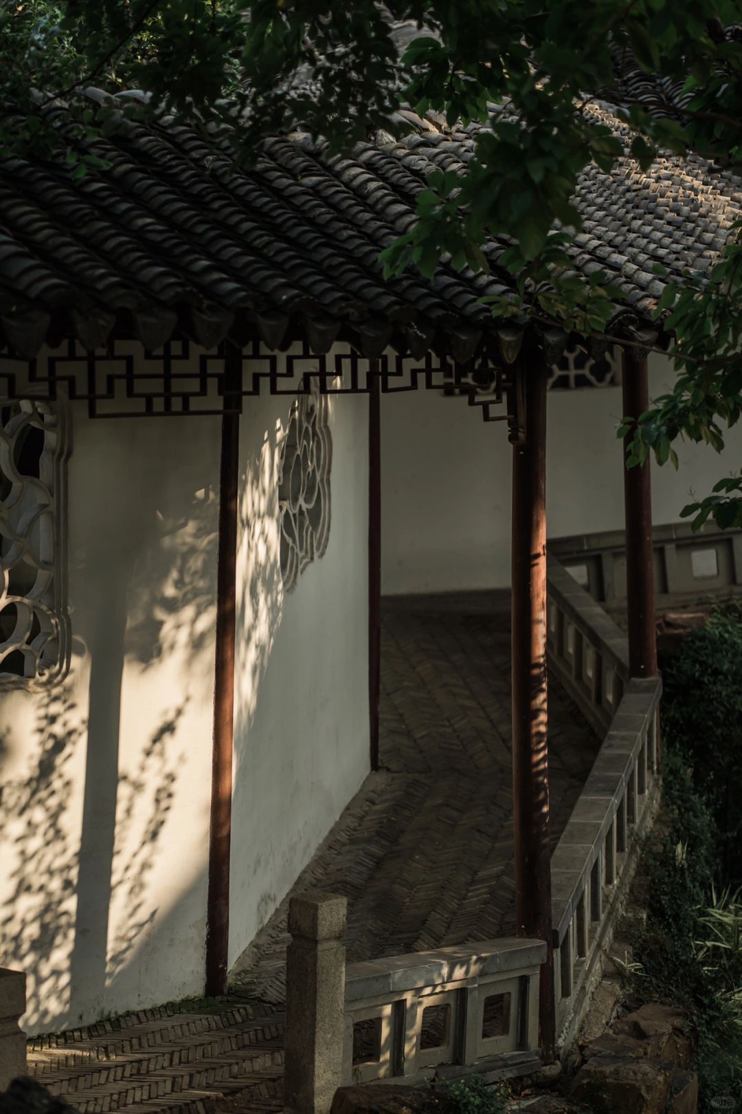 暮光斜照入花窗 竹影摇曳映残墙/园林光影
追逐光 成为光 散发光