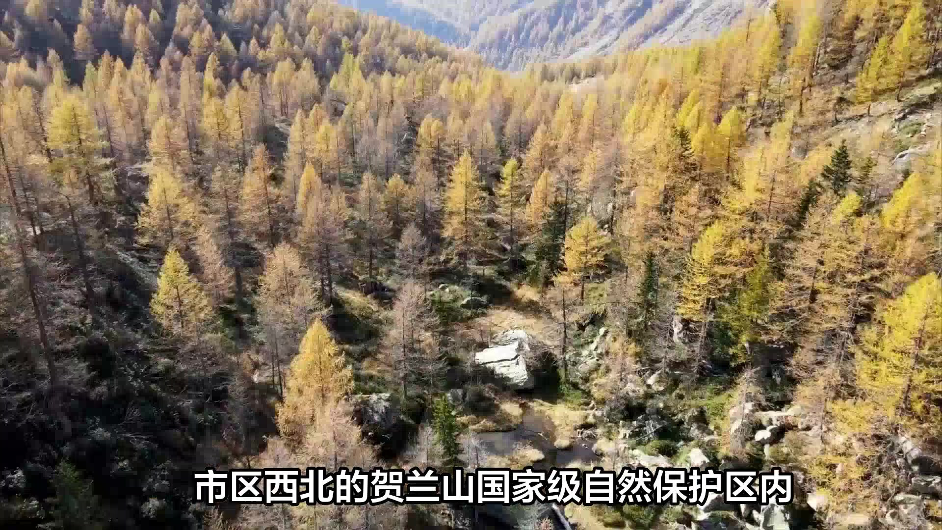 宁夏贺兰山自然保护区，西北的一片绿色旅游区，值得一去！