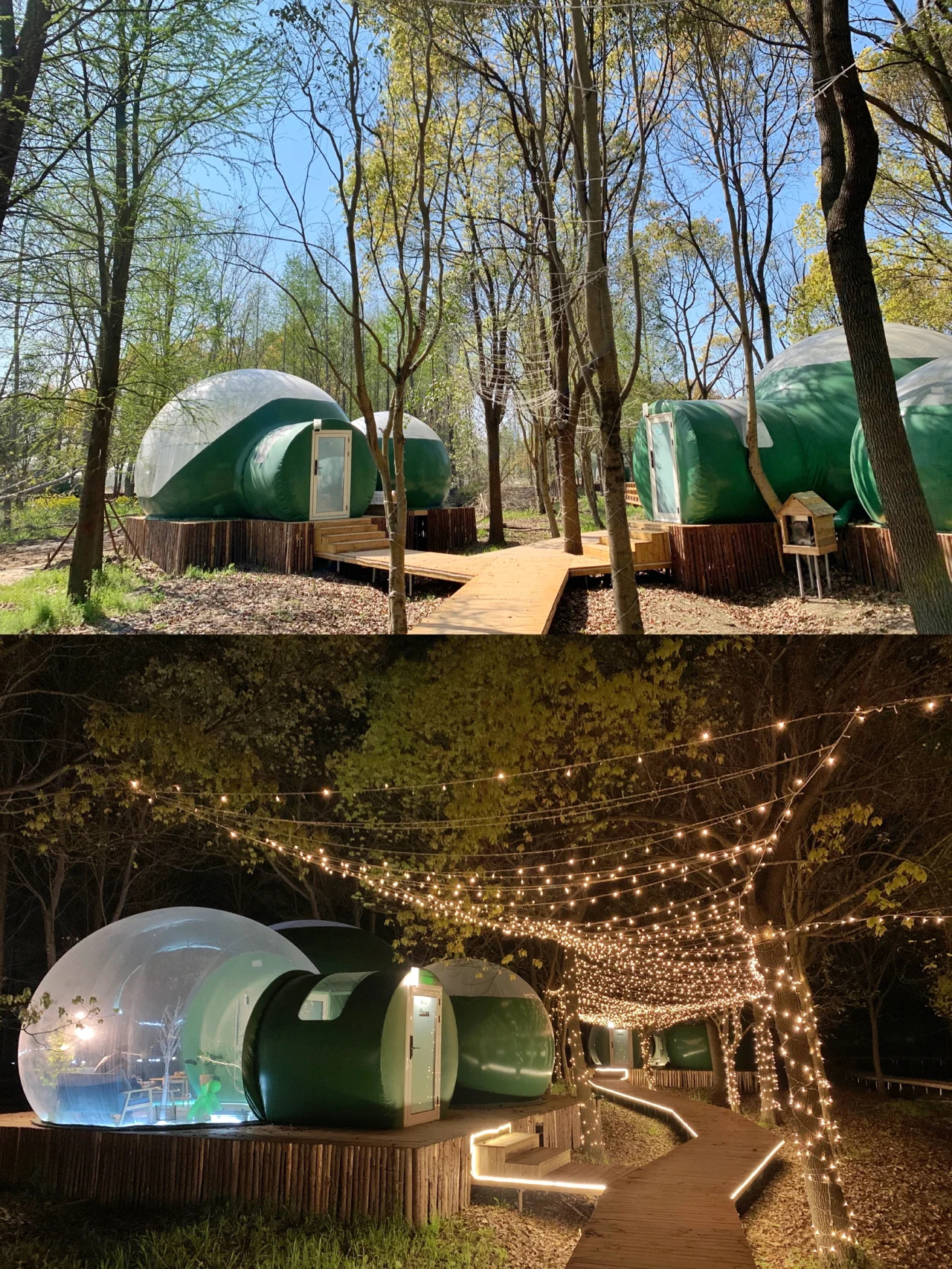 上海｜森林里的泡泡屋，精灵岛上的趣玩营地