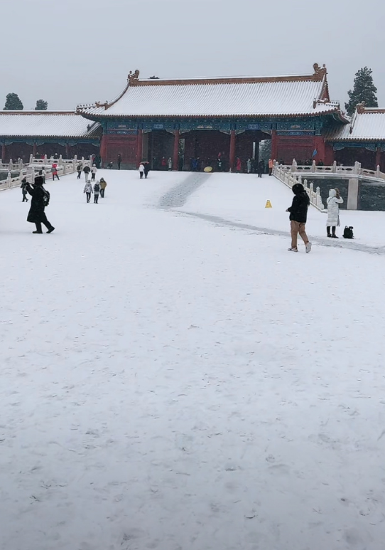 北京大雪，云赏雪❄ ​