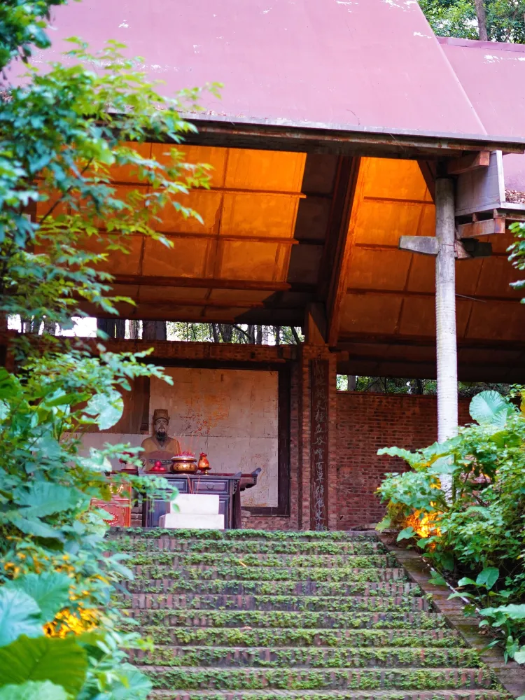 广州森林湖畔露营地真的美的像仙境!!