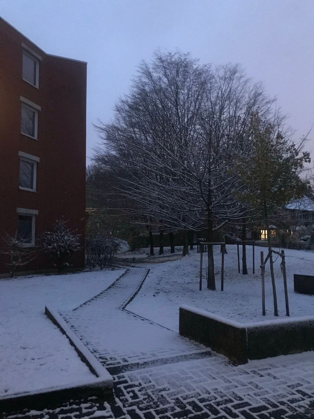 雪景还是村里的好看🤭 ​