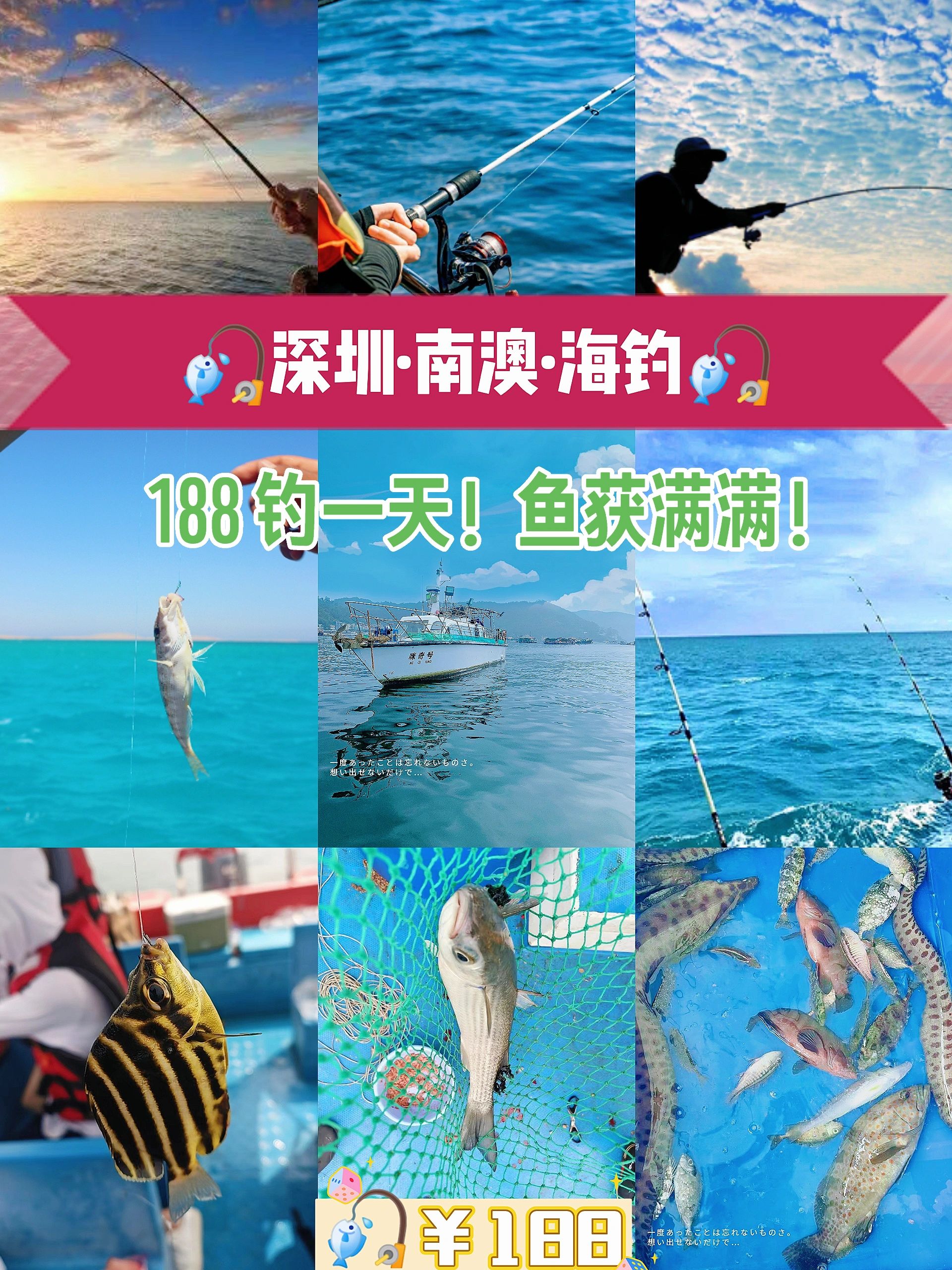 谁懂啊！188可以钓一天❗鱼又大又多🐟