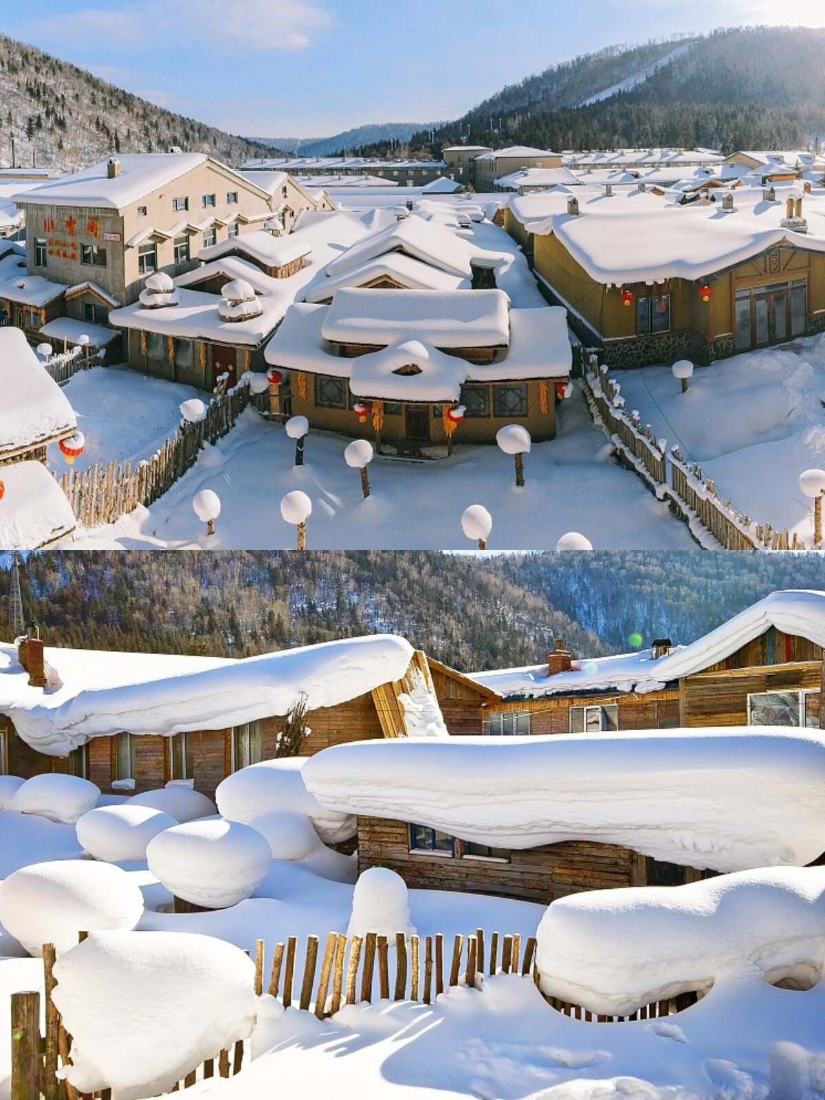 哈尔滨冬季游，雪乡、冰雪大世界，一次玩尽