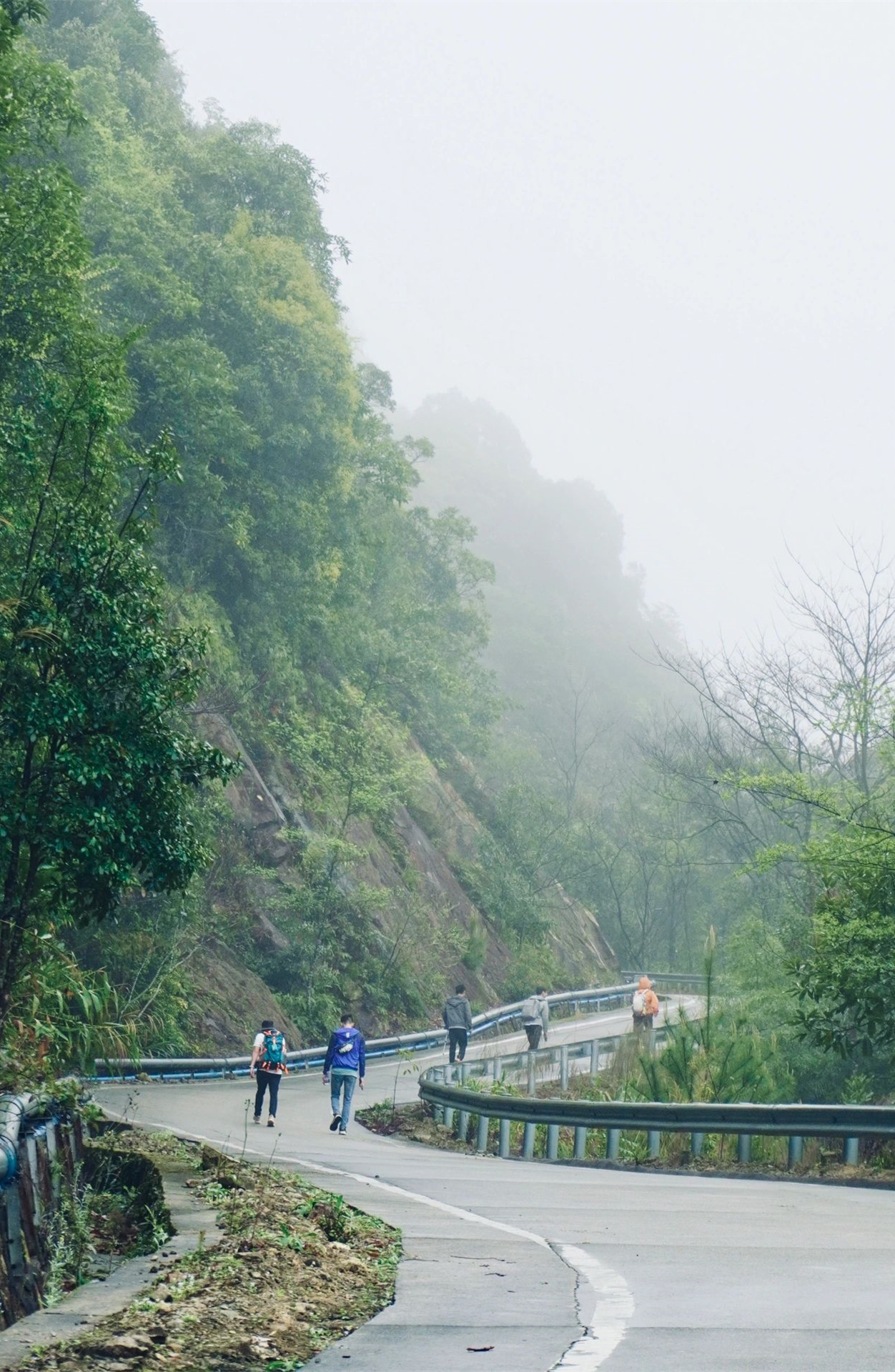 从化五指山｜下山很难，屁股贴地走