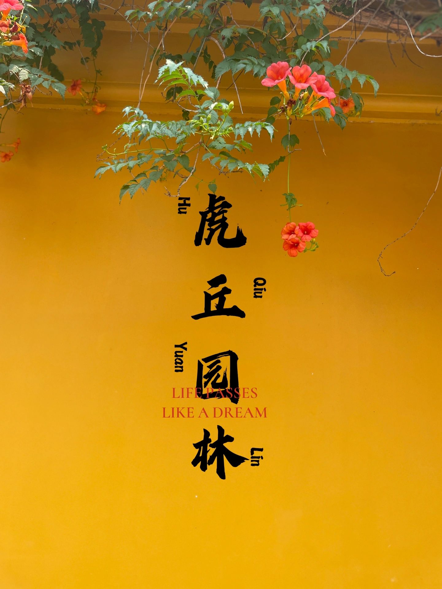 穿越历史，感受苏州风光—虎丘园林游玩攻略