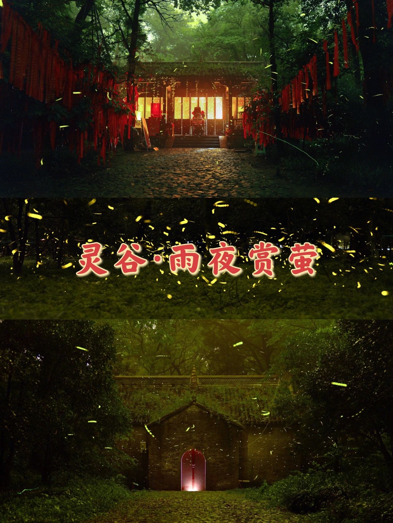 南京｜阴雨连绵？不怕！雨天灵谷寺赏萤攻略
