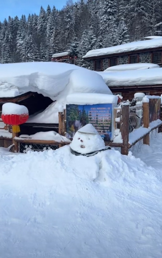 这里的雪不会化，所以一直堆成美丽的雪景。中国雪乡，目前最旺的旅游季。