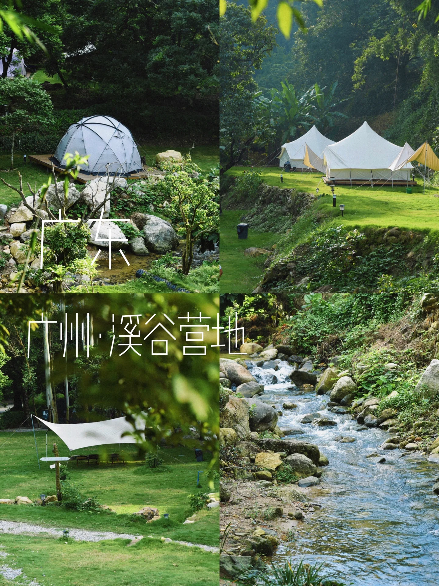广州小众露营🏕躲进山野、清凉一夏💦