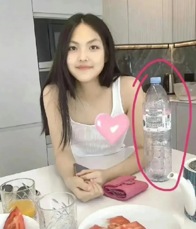 李湘女儿，也挺不容易的！
为了不让网友质疑，王诗龄拍照时，特意把桌子上价值100