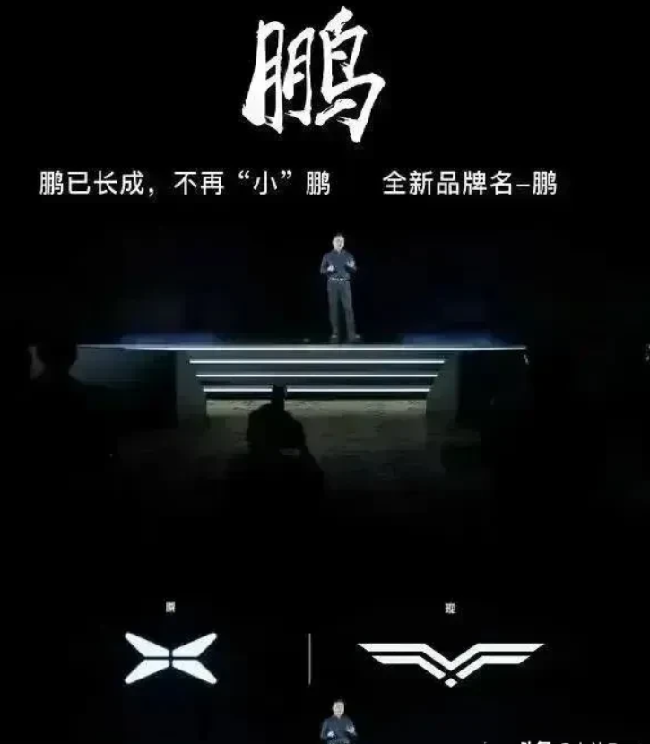 最近买了个鹏。

是这个意思吗？

花了好几年终于意识到之前起名太随便了，然后起