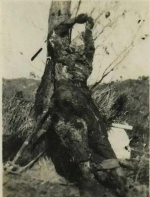 1952年，在上甘岭战役中，中国人民志愿军黄继光牺牲了。他留下的唯一存世照片显示