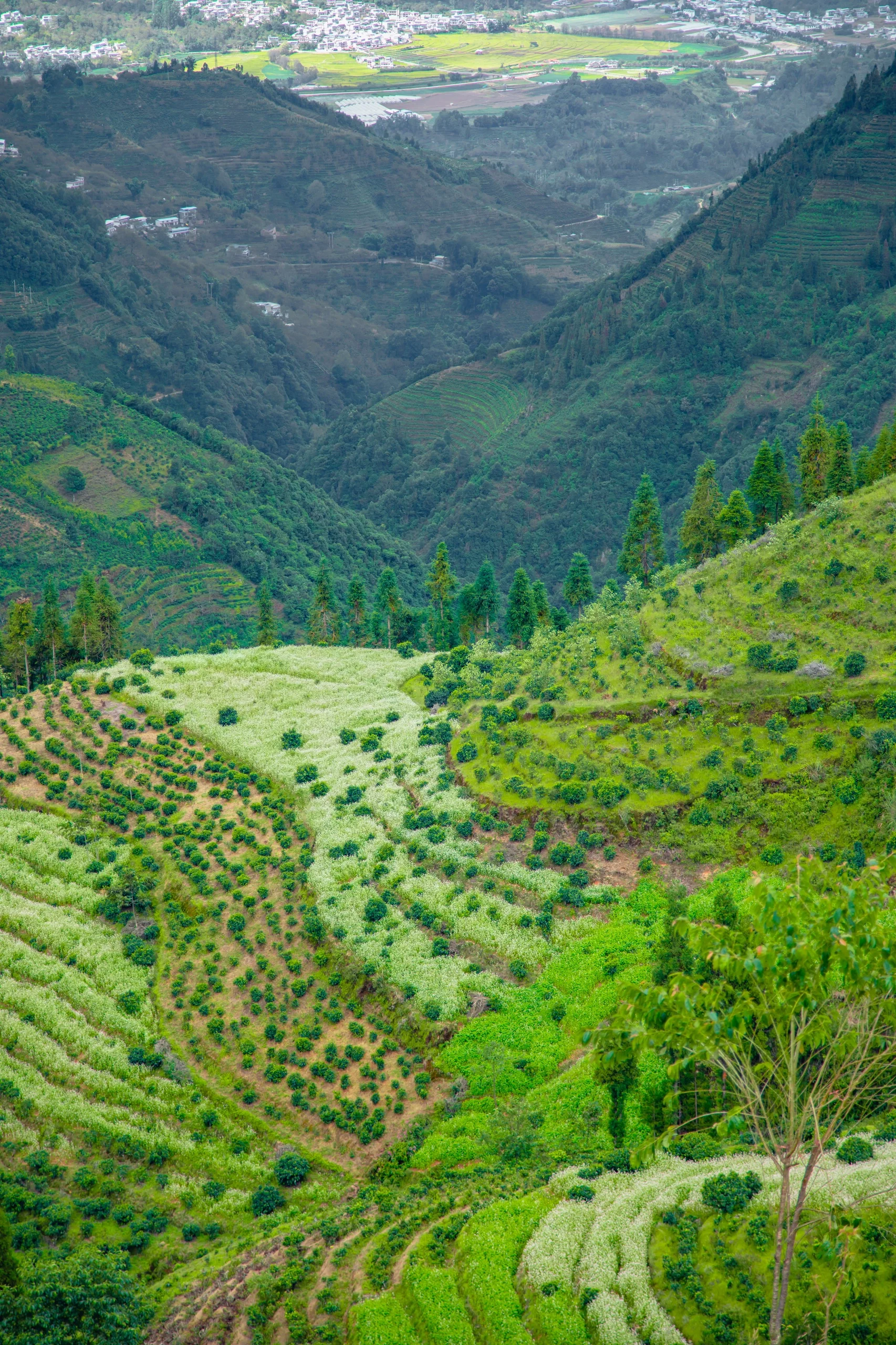美哭我，这里就像宫崎骏动画世界｜亲子旅行