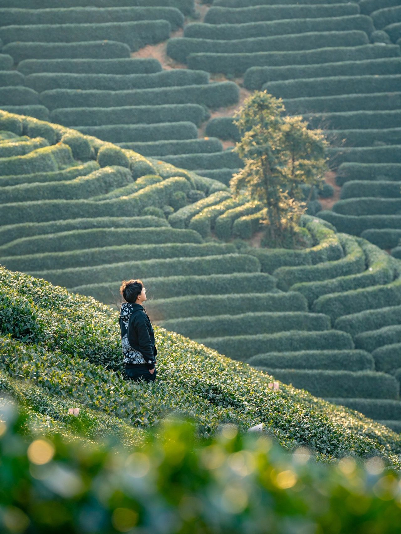 杭州徒步｜拒绝雾霾🌲