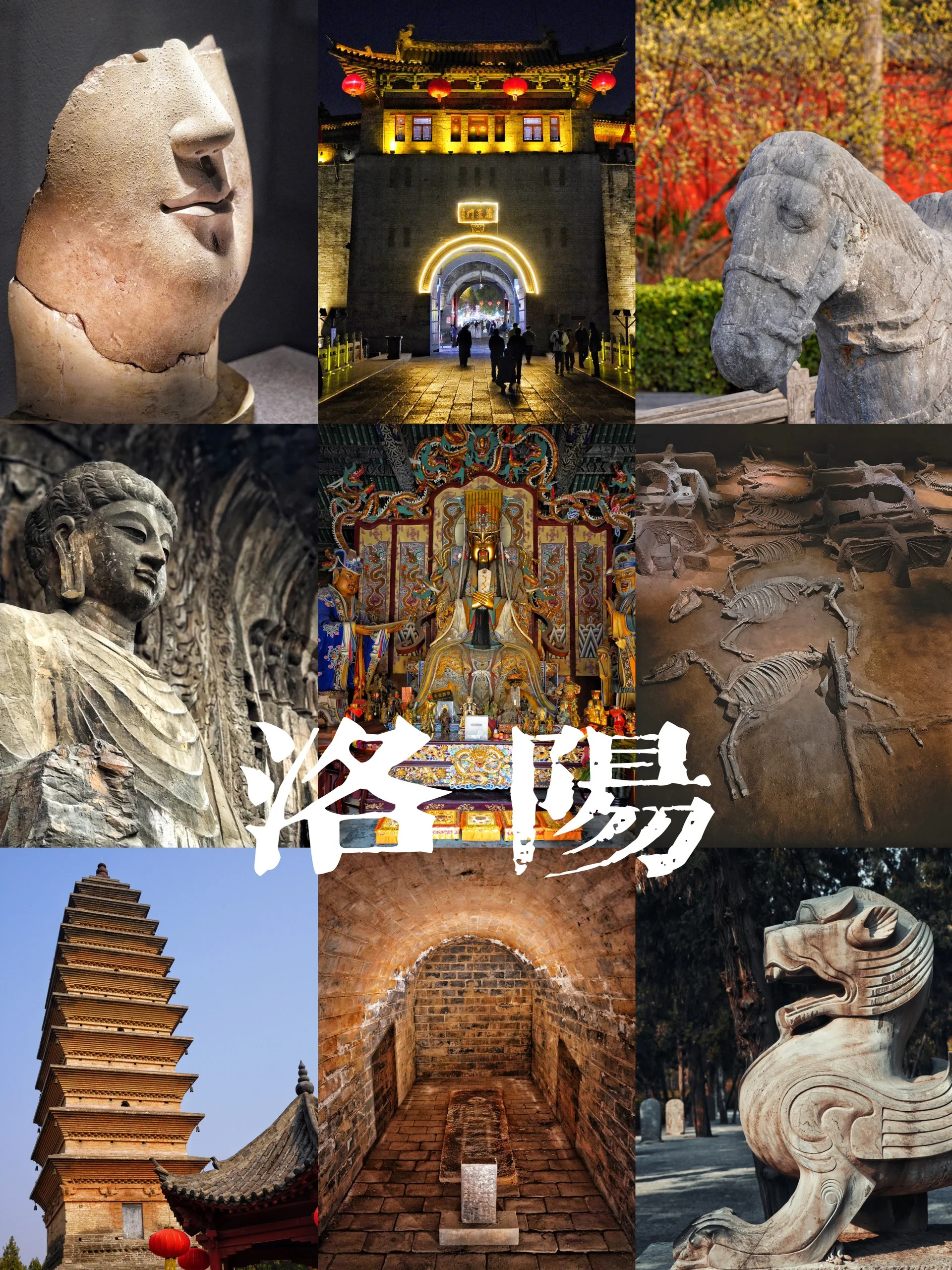 洛阳9大人文景点推荐｜你确定都看对了吗⁉